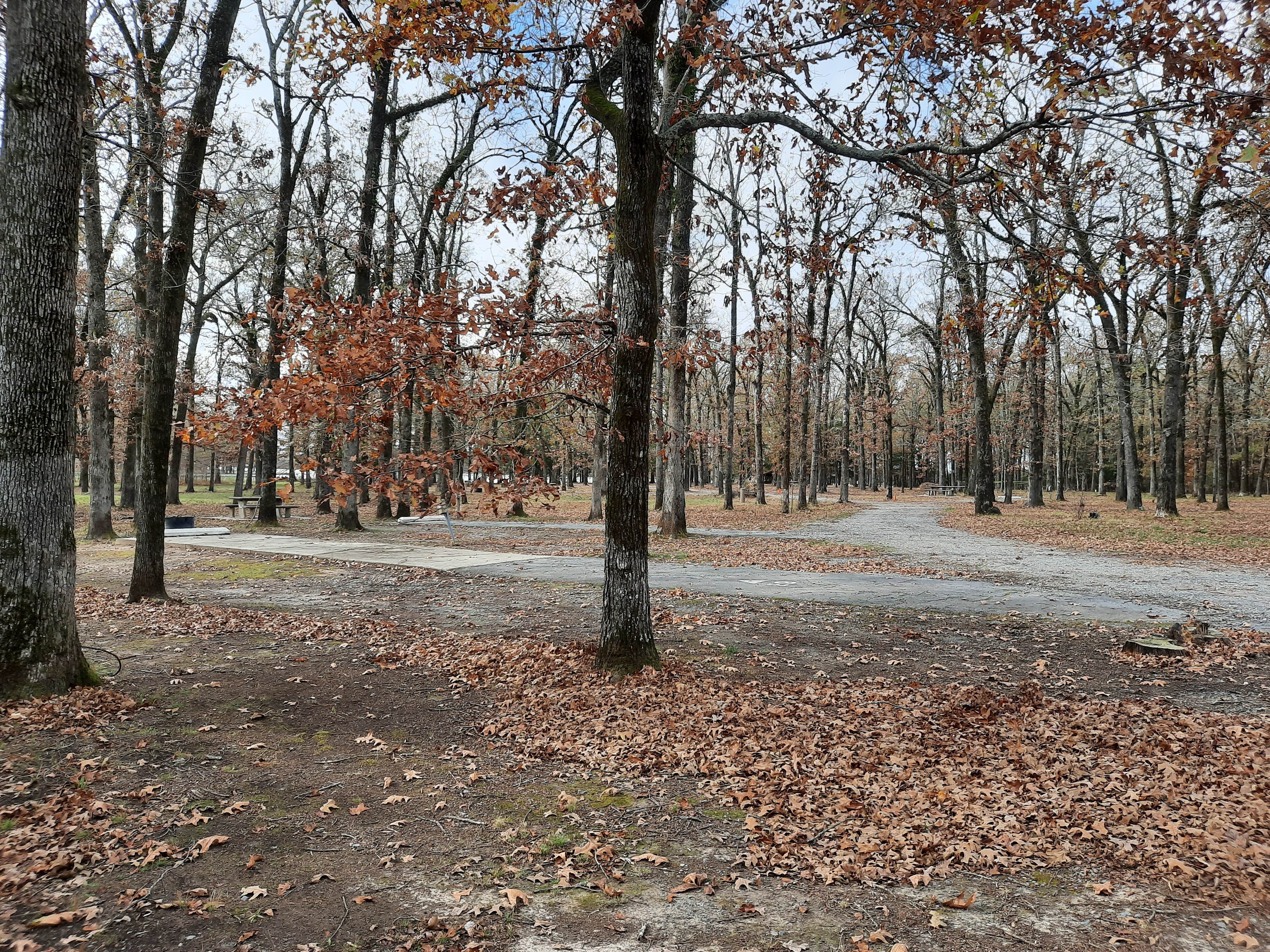 Camper submitted image from COE Arkansas River Merrisach Lake Park - 3