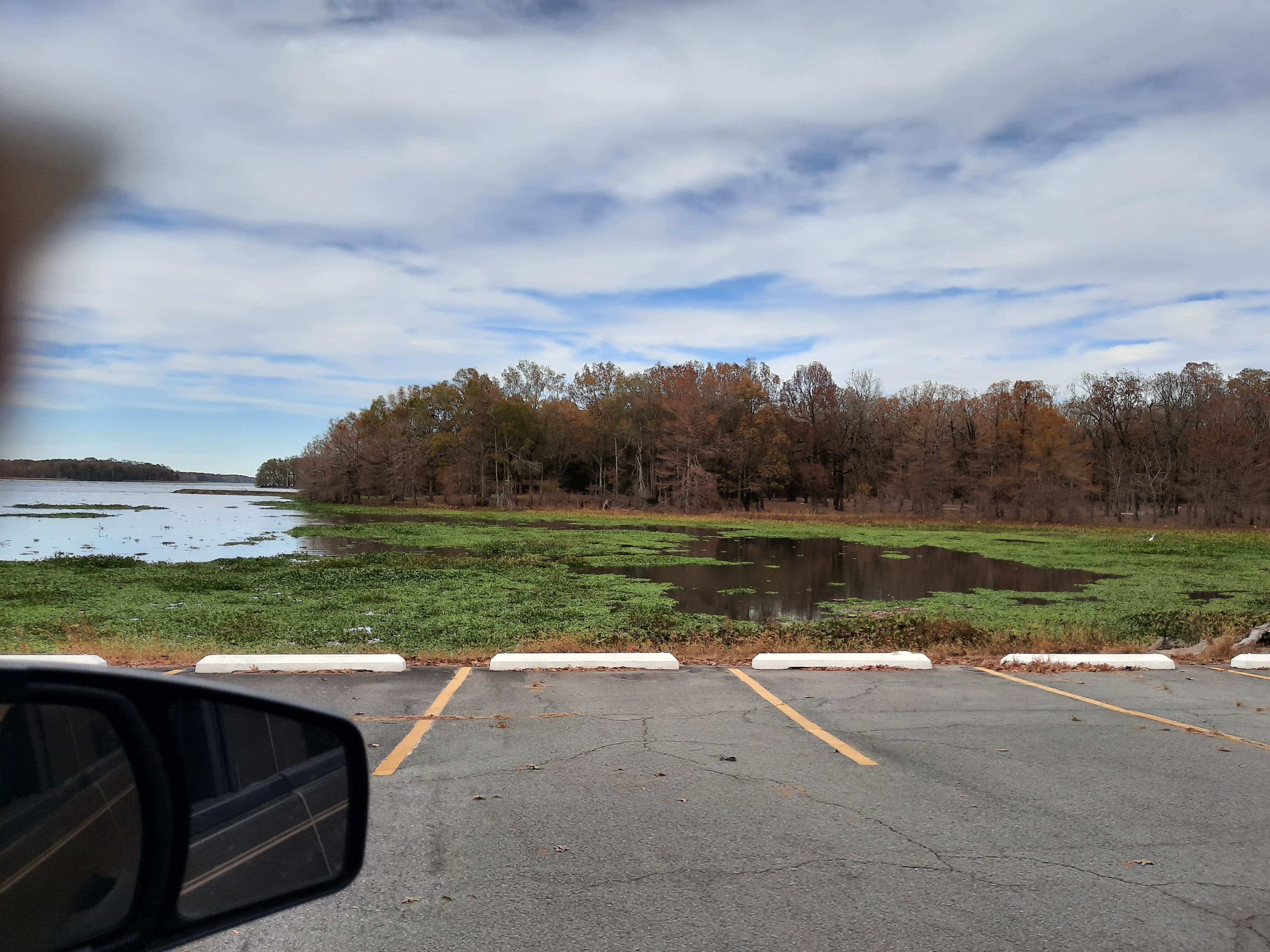 Camper submitted image from COE Arkansas River Merrisach Lake Park - 1