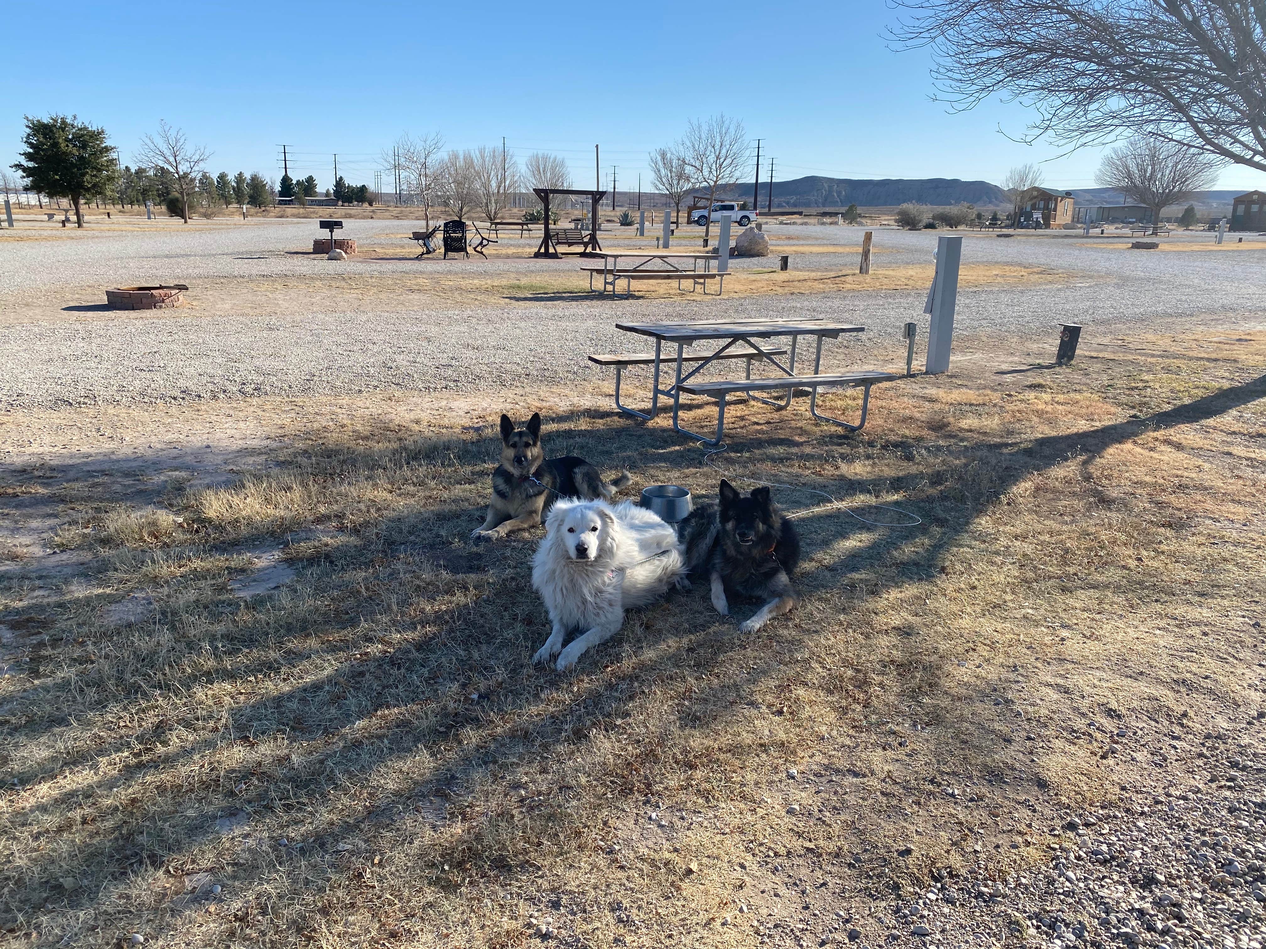 Camper-submitted photo at Carlsbad KOA near Artesia, NM