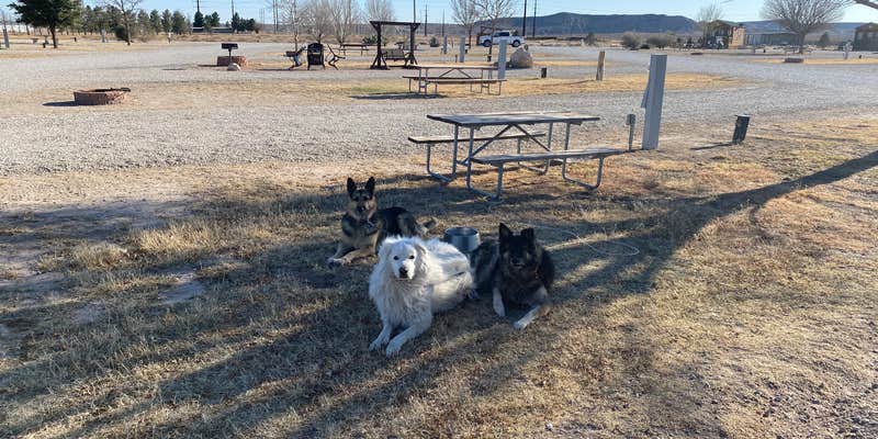 Camper submitted image from Carlsbad KOA