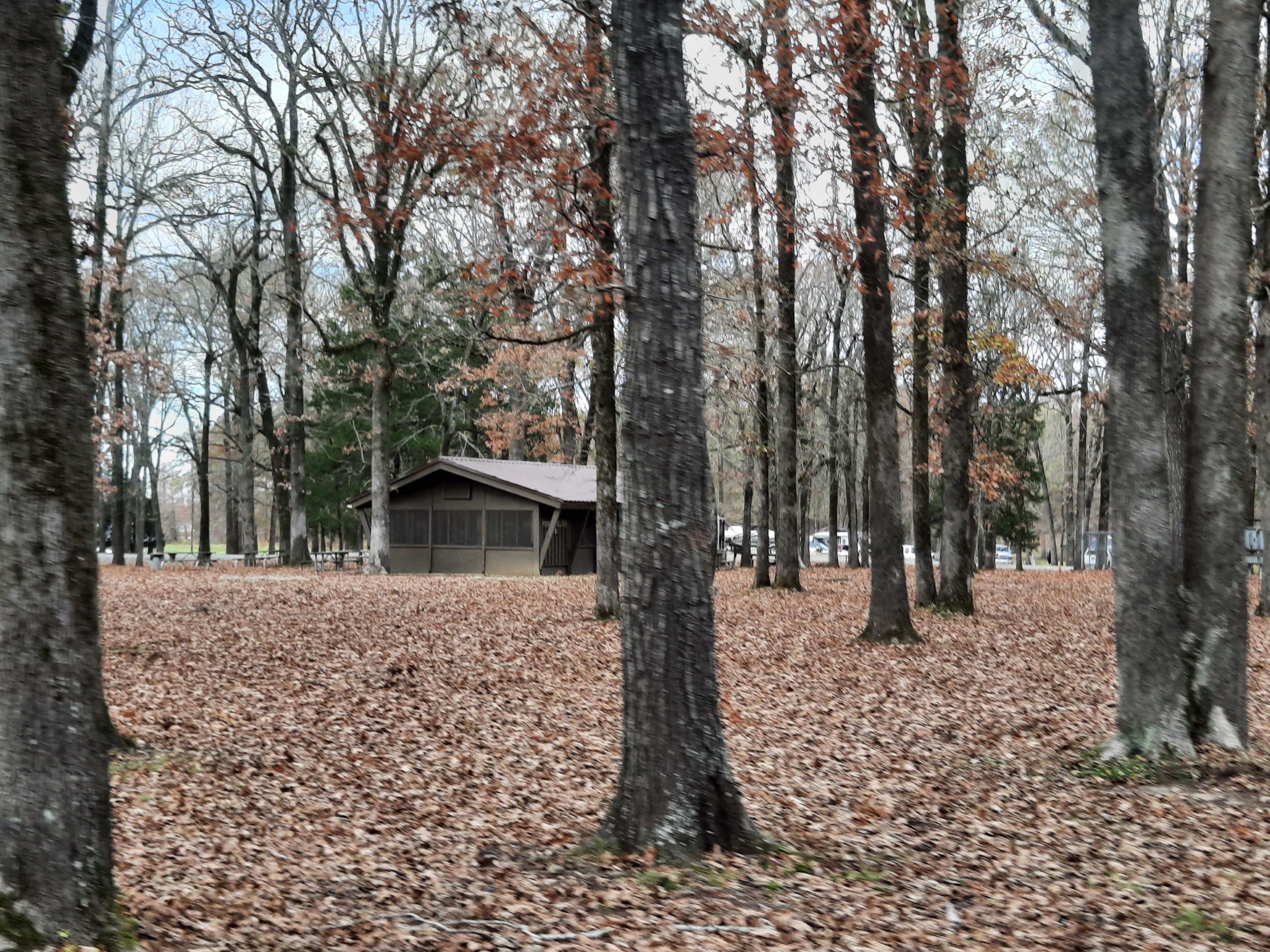 Camper submitted image from COE Arkansas River Merrisach Lake Park - 5