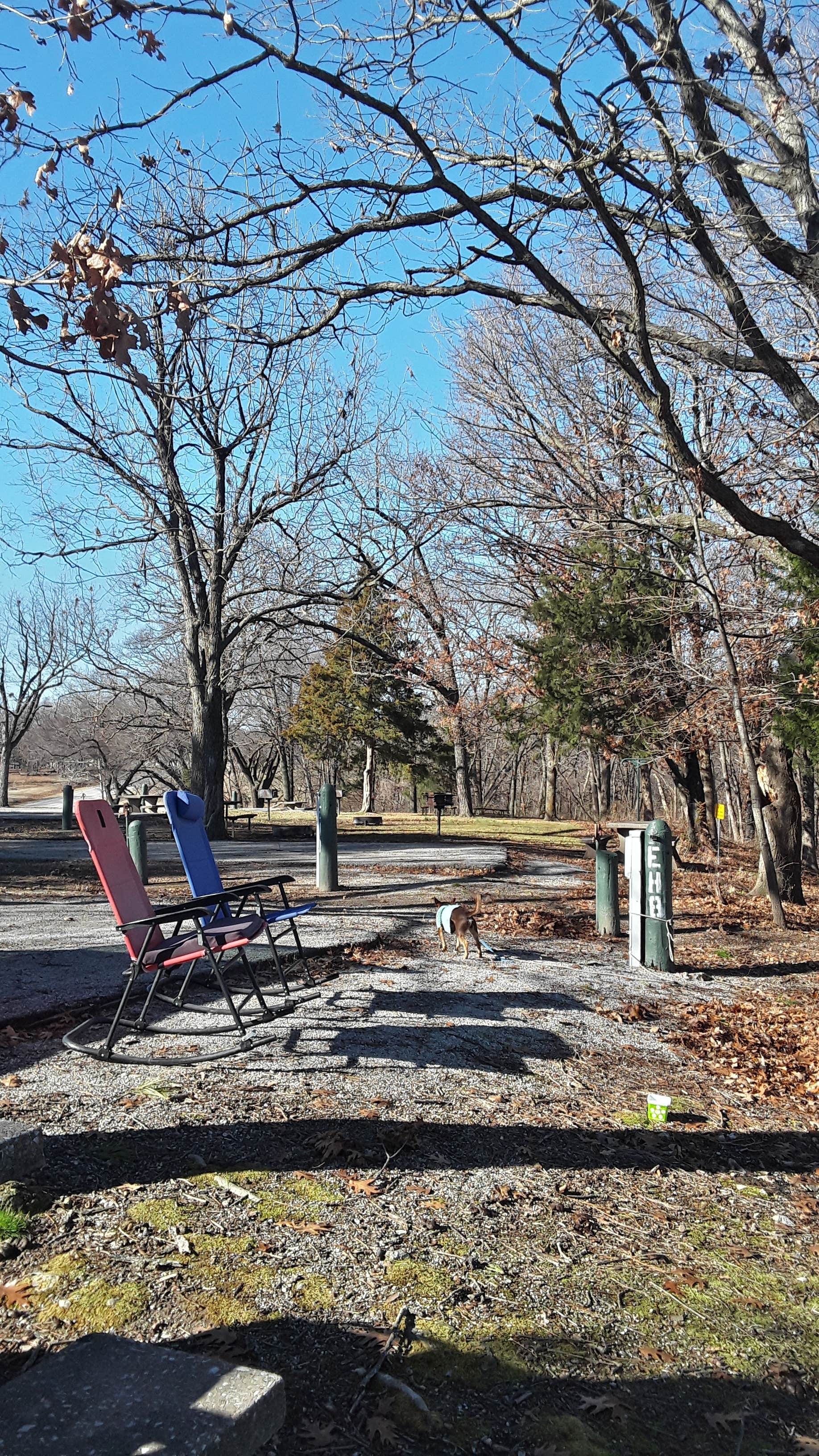 Camper submitted image from Echo Hollow - Twin Bridges Area at Grand Lake State Park - 3