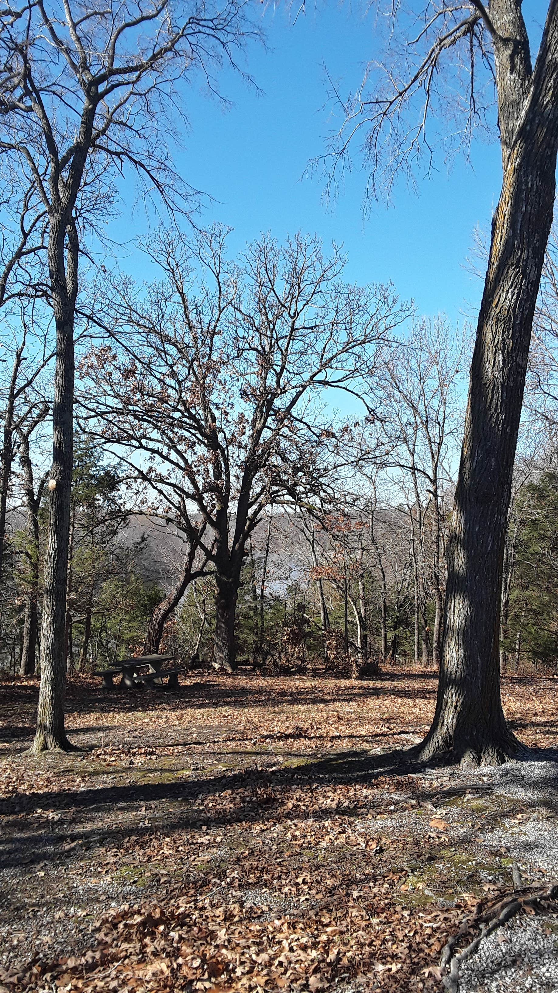 Camper submitted image from Echo Hollow - Twin Bridges Area at Grand Lake State Park - 2