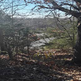 Echo Hollow - Twin Bridges Area at Grand Lake State Park