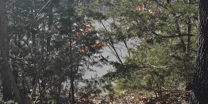 Camper submitted image from Echo Hollow - Twin Bridges — Grand Lake State Park