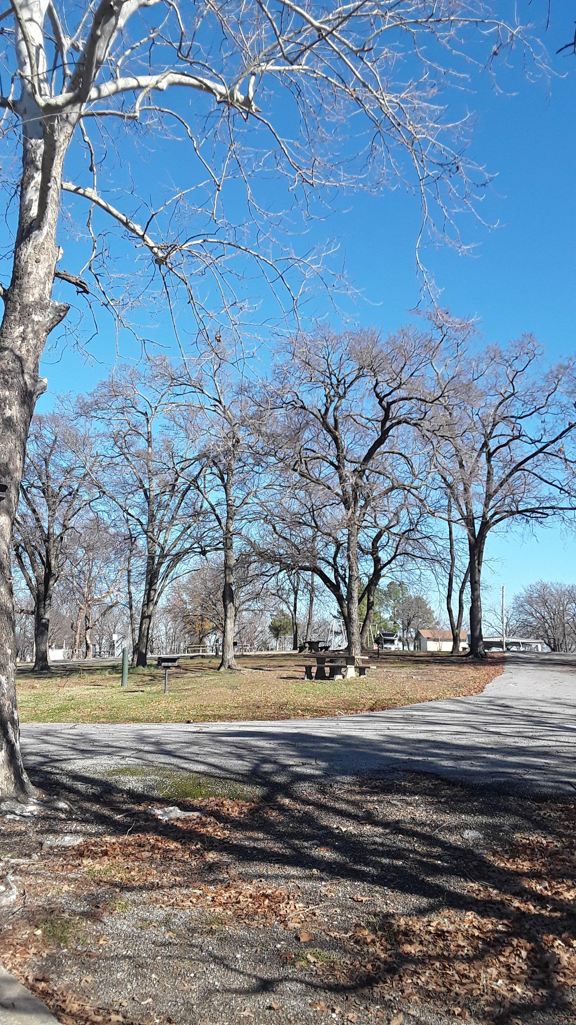 Camper-submitted photo at Echo Hollow - Twin Bridges — Grand Lake State Park near Miami, OK