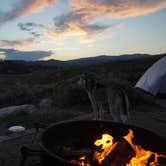 Review photo of Arapaho National Forest Stillwater Campground by Elizabeth G., December 5, 2020