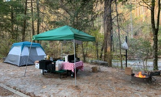 Camping near Mr Bud's Campground: Tallulah River Campground, Rabun Gap, Georgia