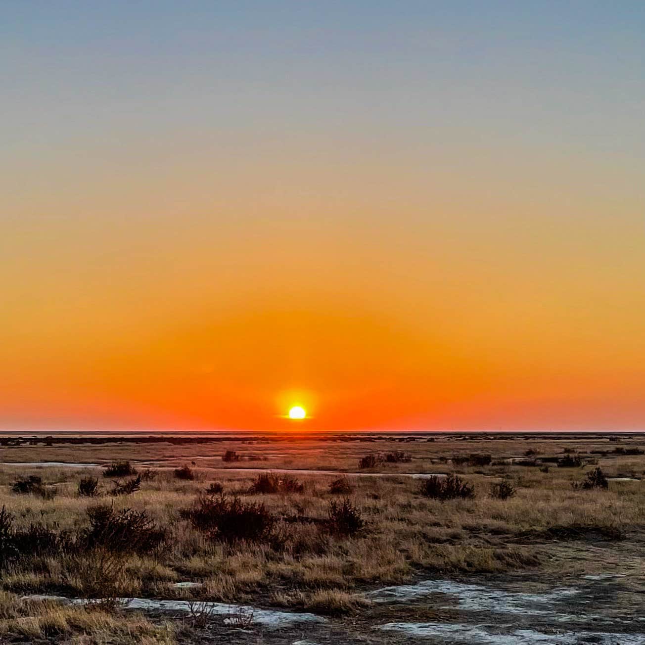 Camper-submitted photo at Colonel Allensworth State Historic Park Campground near Alpaugh, CA