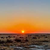 Review photo of Colonel Allensworth State Historic Park Campground by Meg R., December 5, 2020