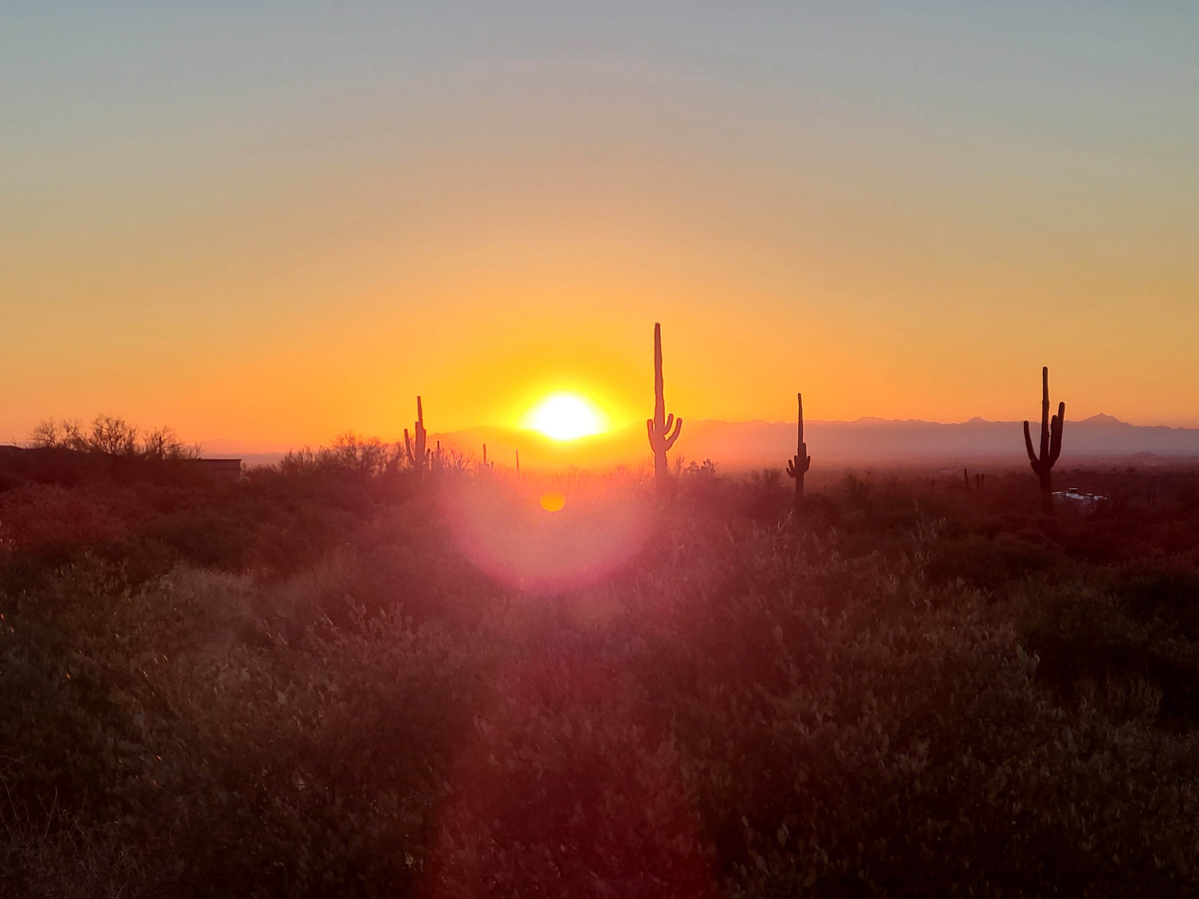 Camper-submitted photo at Lost Dutchman State Park Campground in Arizona