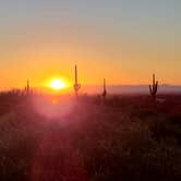 Review photo of Lost Dutchman State Park Campground by Rebecca G., December 5, 2020