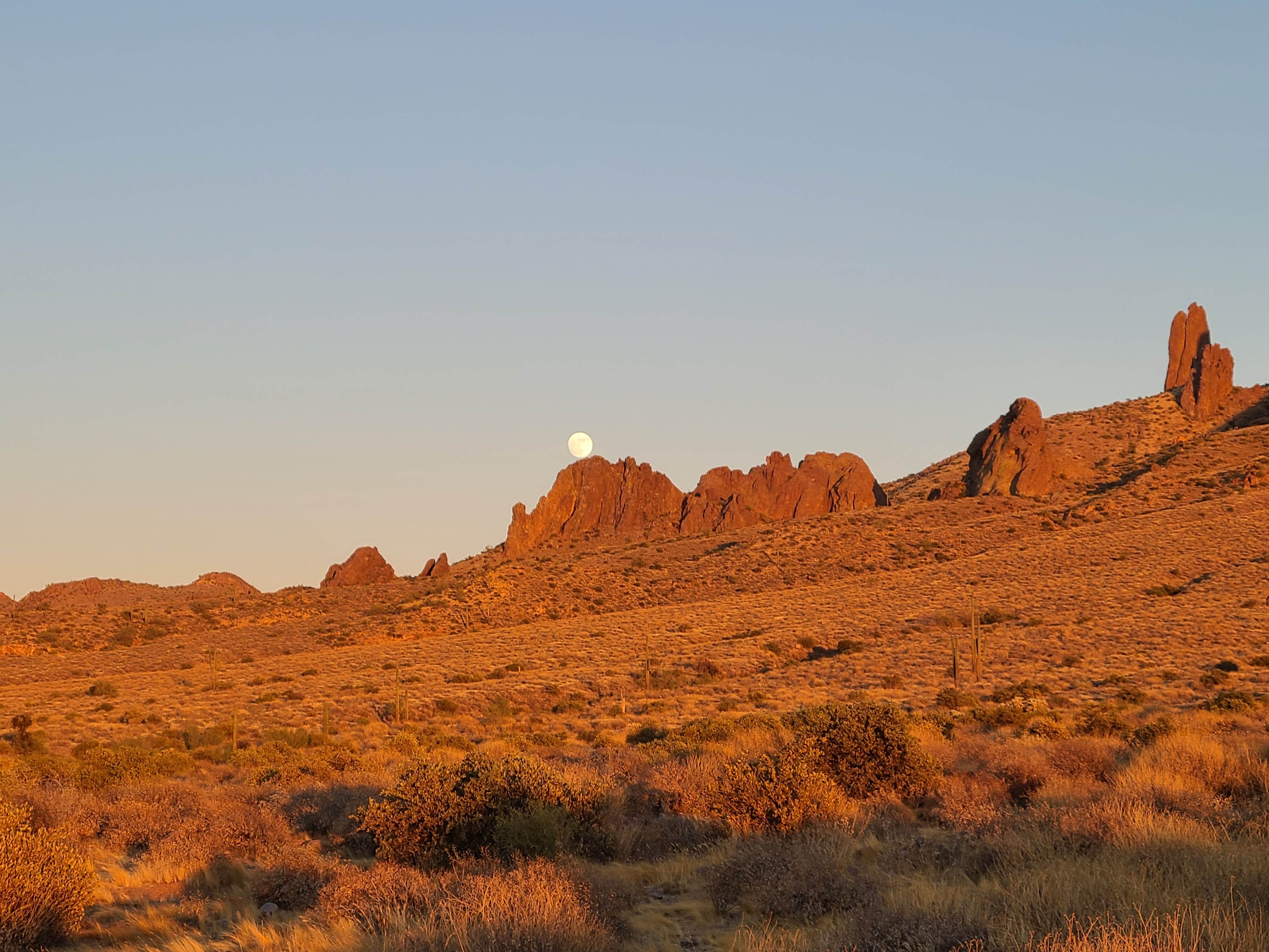 Camper-submitted photo at Lost Dutchman State Park Campground in Arizona