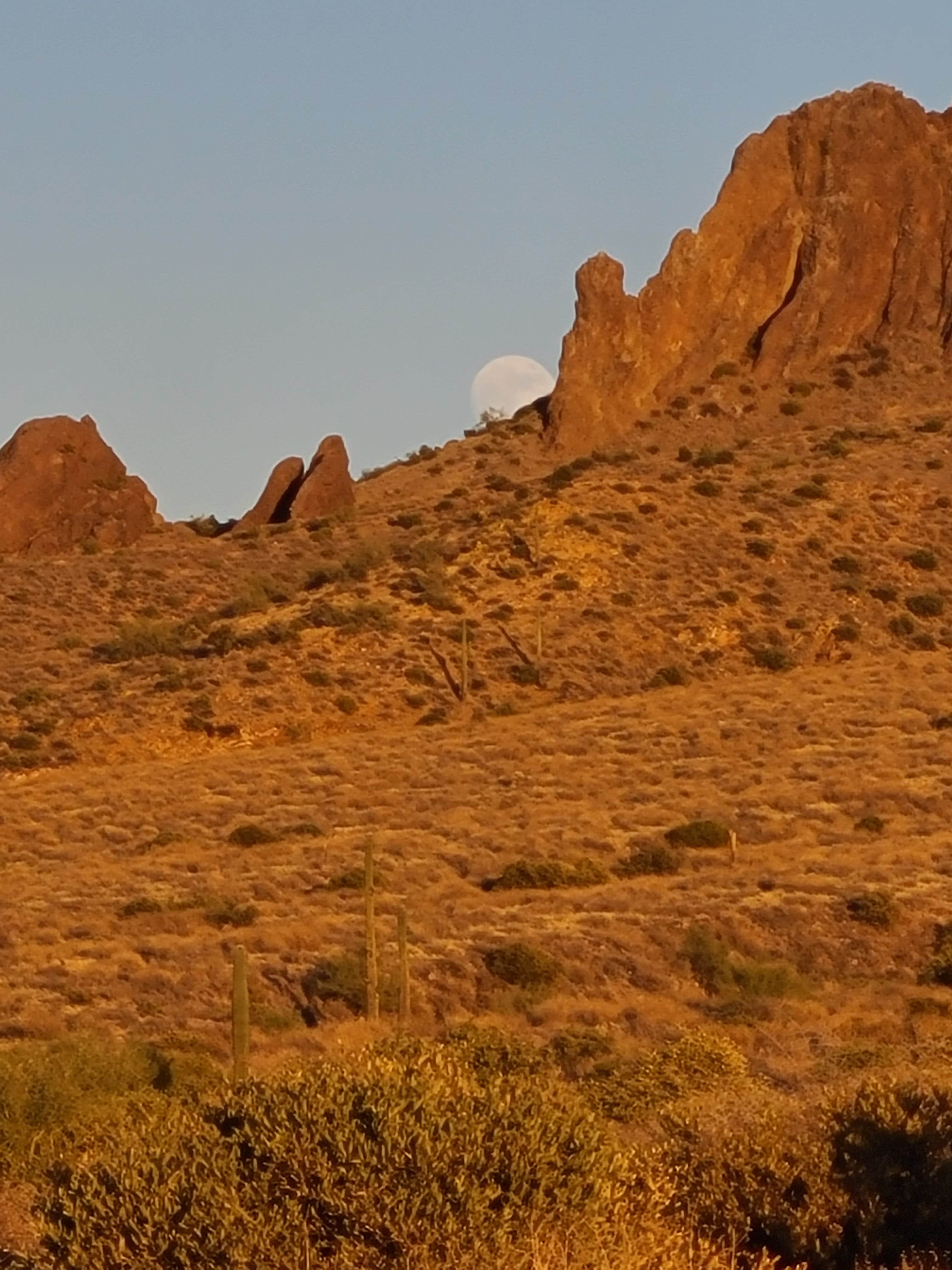 Lost Dutchman State Park Campground