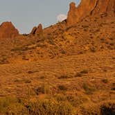 Review photo of Lost Dutchman State Park Campground by Rebecca G., December 5, 2020