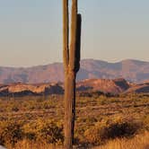 Review photo of Lost Dutchman State Park Campground by Rebecca G., December 5, 2020