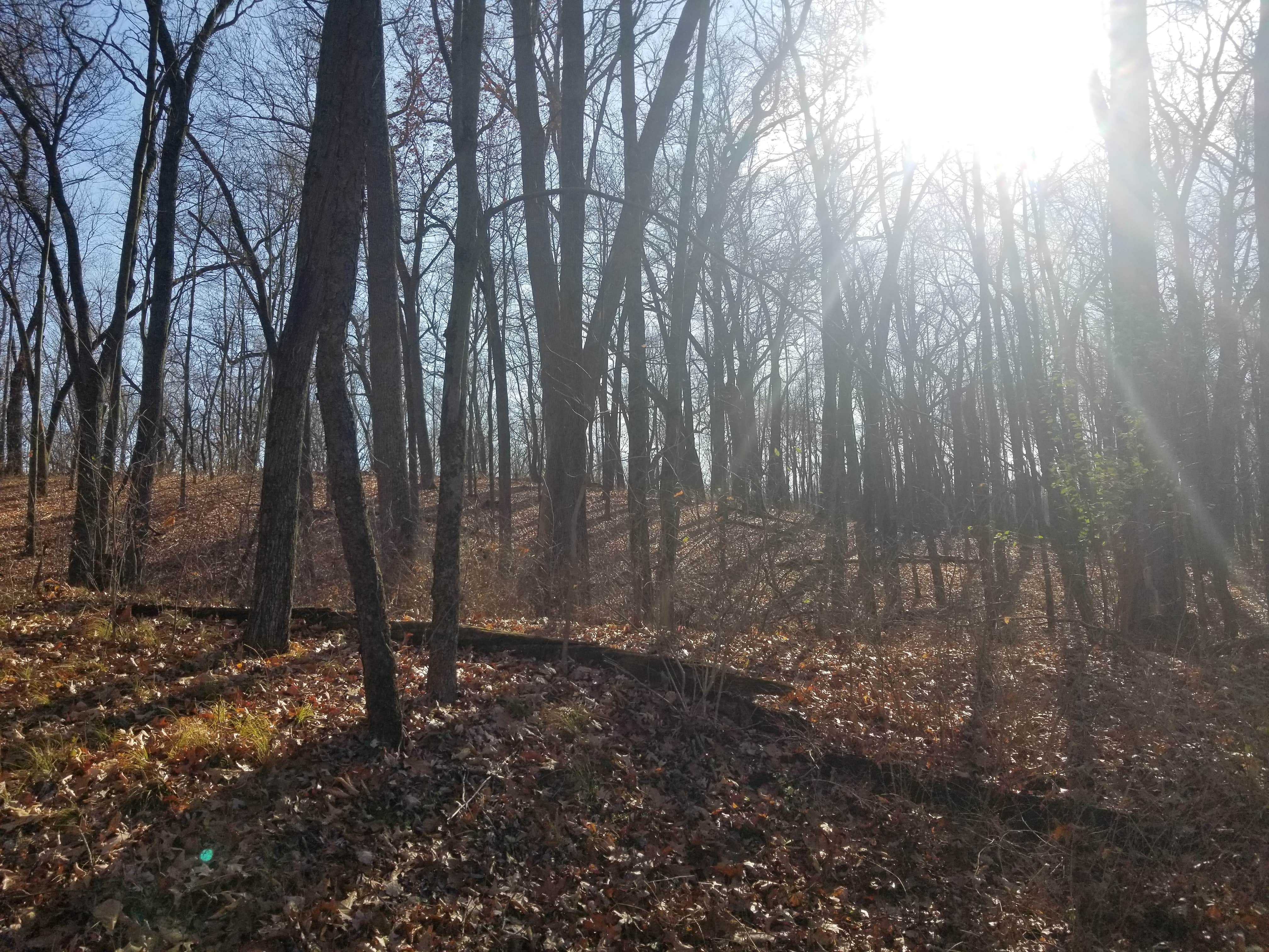 Camper-submitted photo at Deep Lake Rustic Campground — Yankee Springs Recreation Area - TEMPORARILY CLOSED IN 2024 near Charlotte, MI