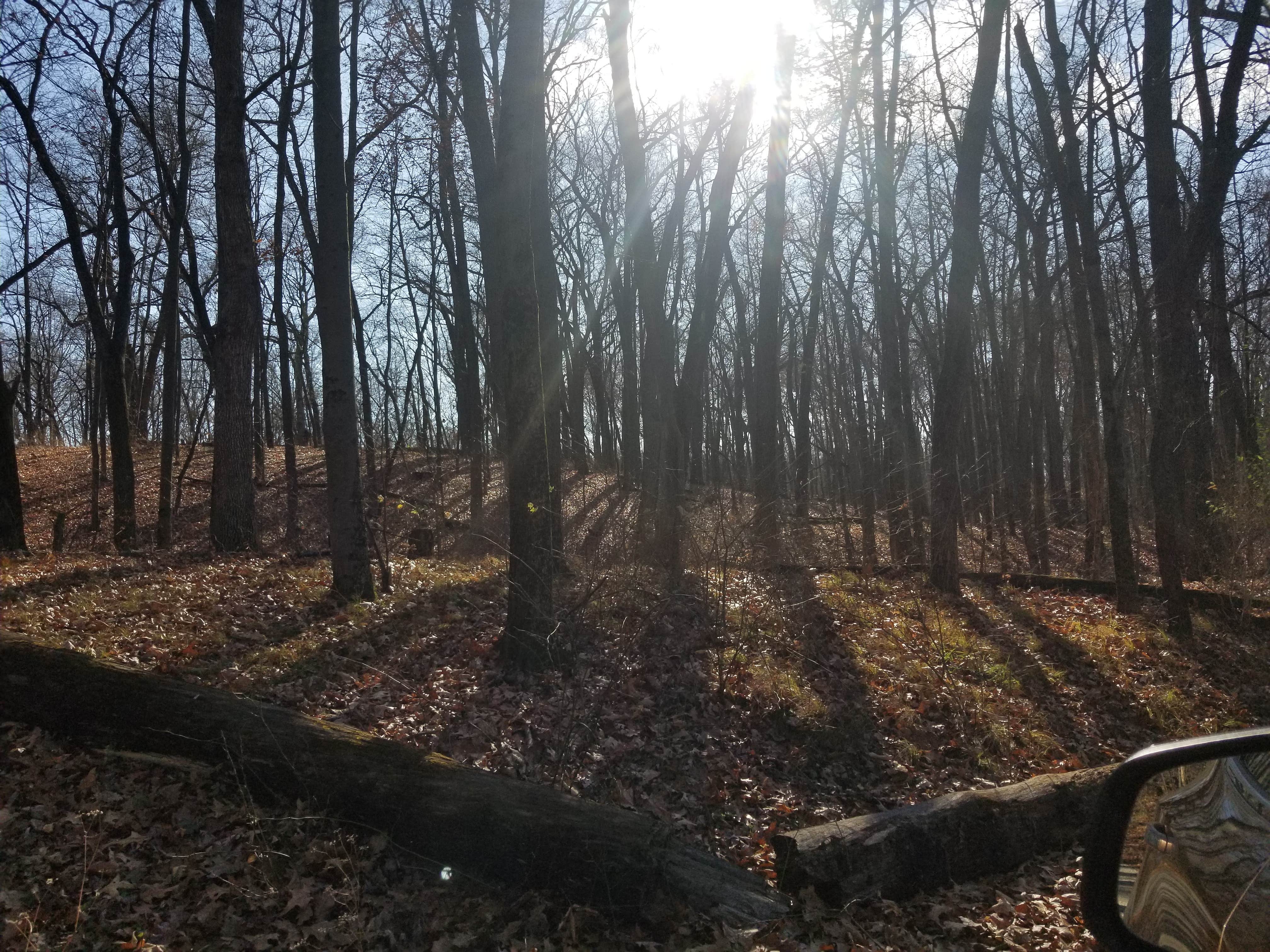 Camper-submitted photo at Deep Lake Rustic Campground — Yankee Springs Recreation Area - TEMPORARILY CLOSED IN 2024 near Charlotte, MI