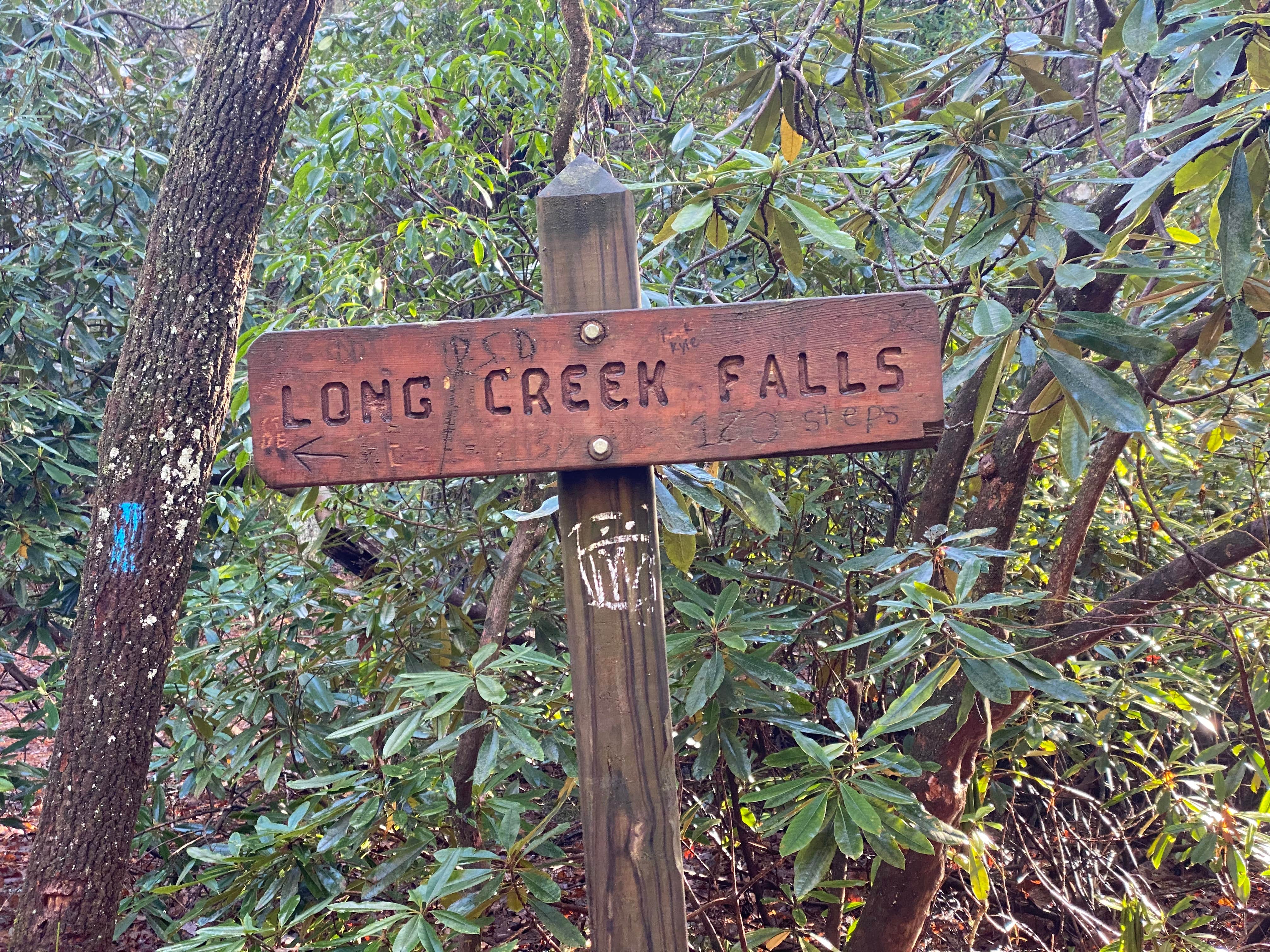 Camping near Amicalola Falls State Park Camping: Three Forks Campground, Suches, Georgia