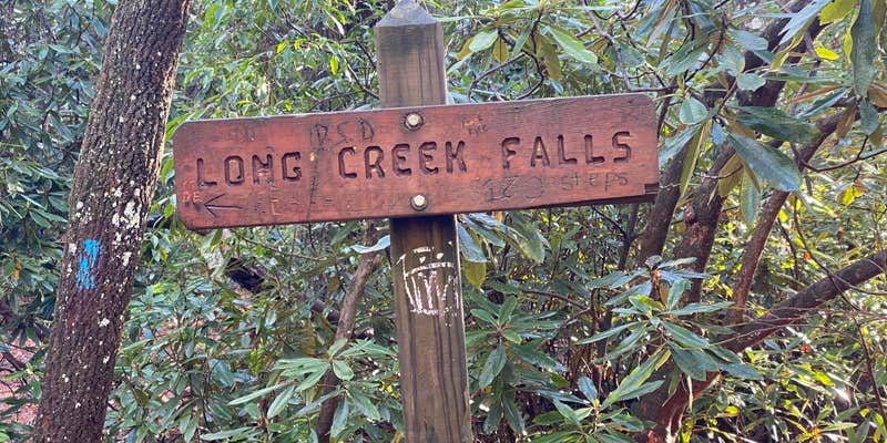 Camper submitted image from Three Forks Campground