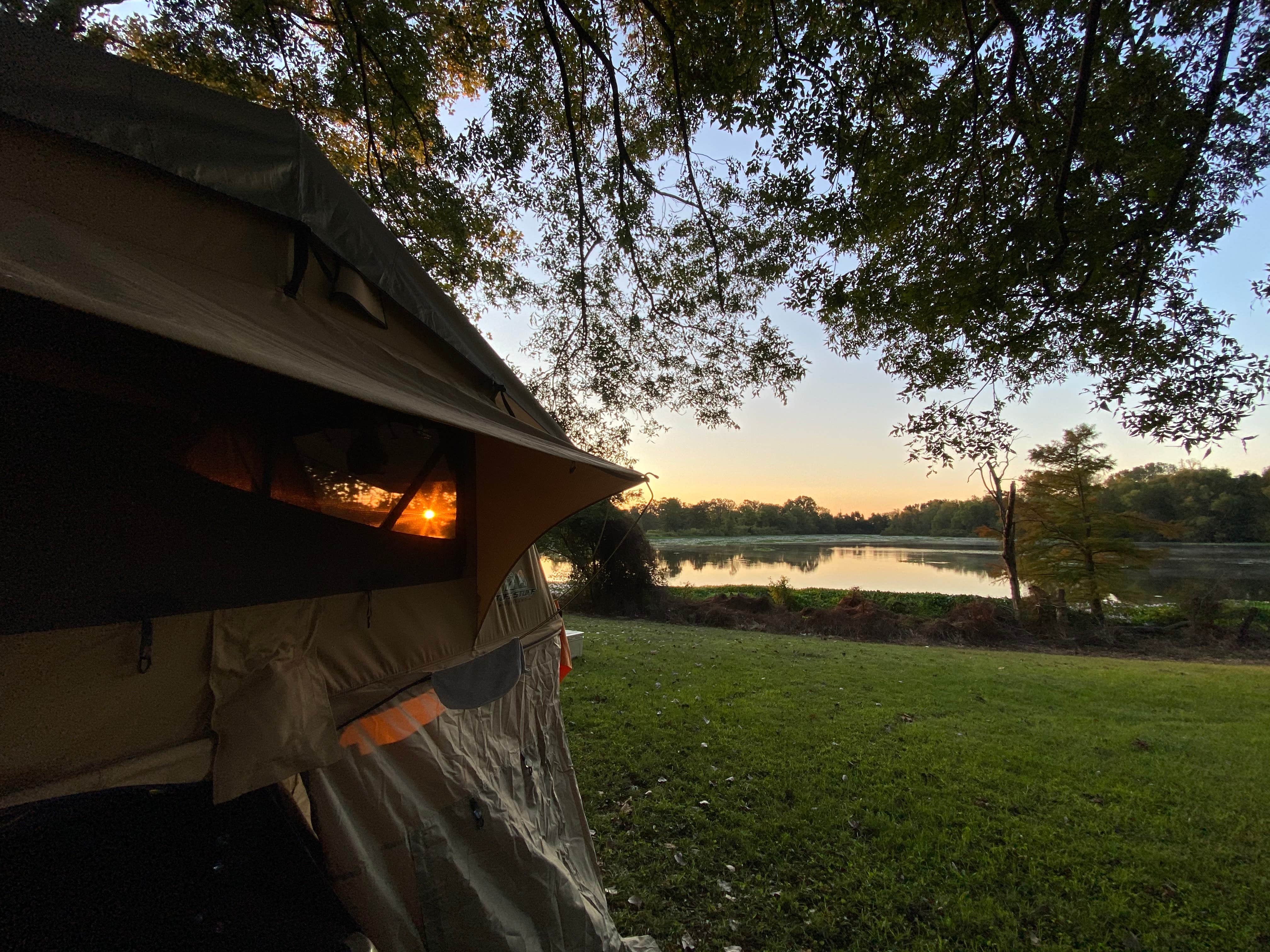 Cheryl M.'s photo at Willow Beach near Mayflower, AR