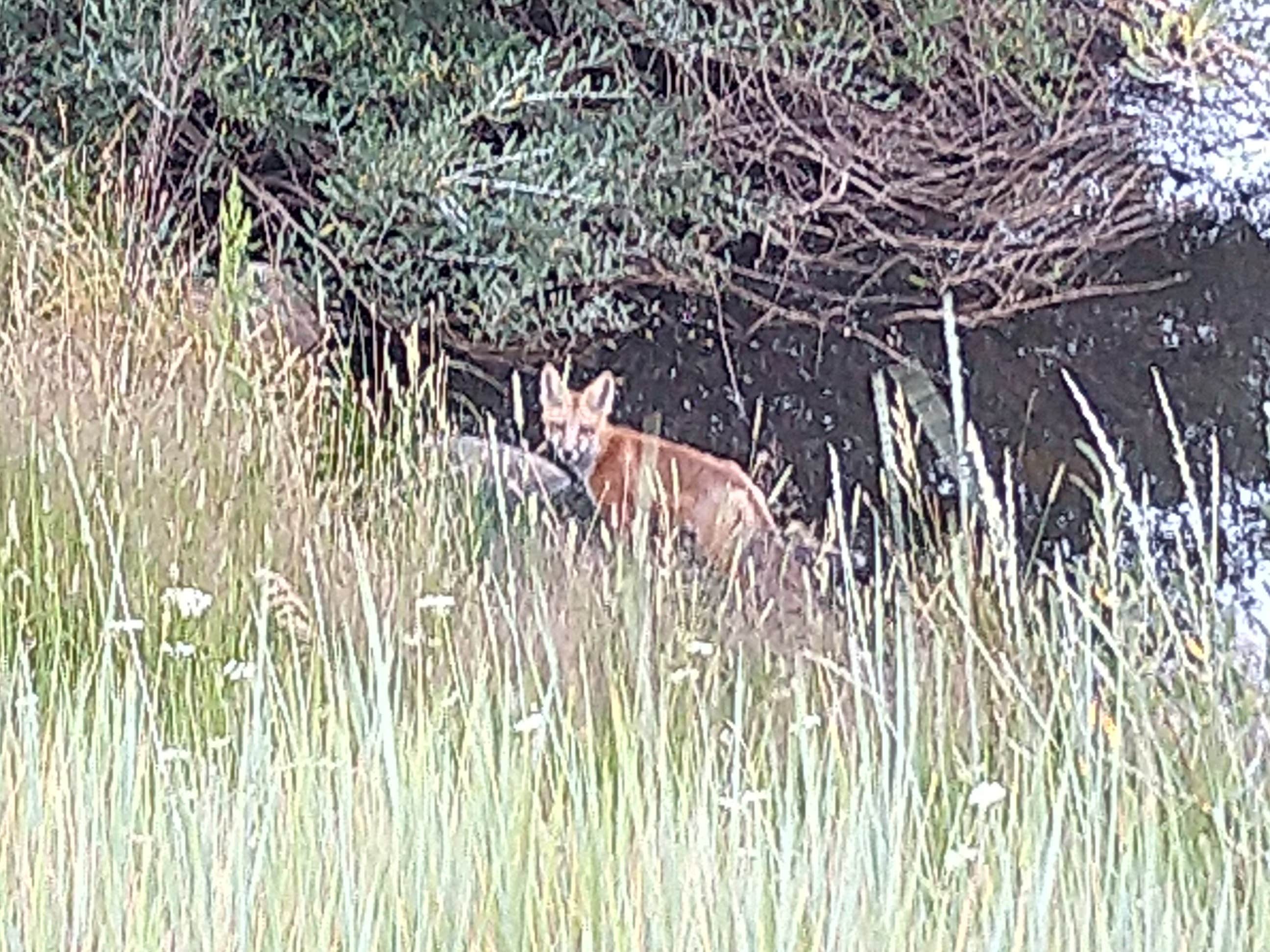 Camper-submitted photo at Dutch Hill Campground — Steamboat Lake State Park near Slater, CO