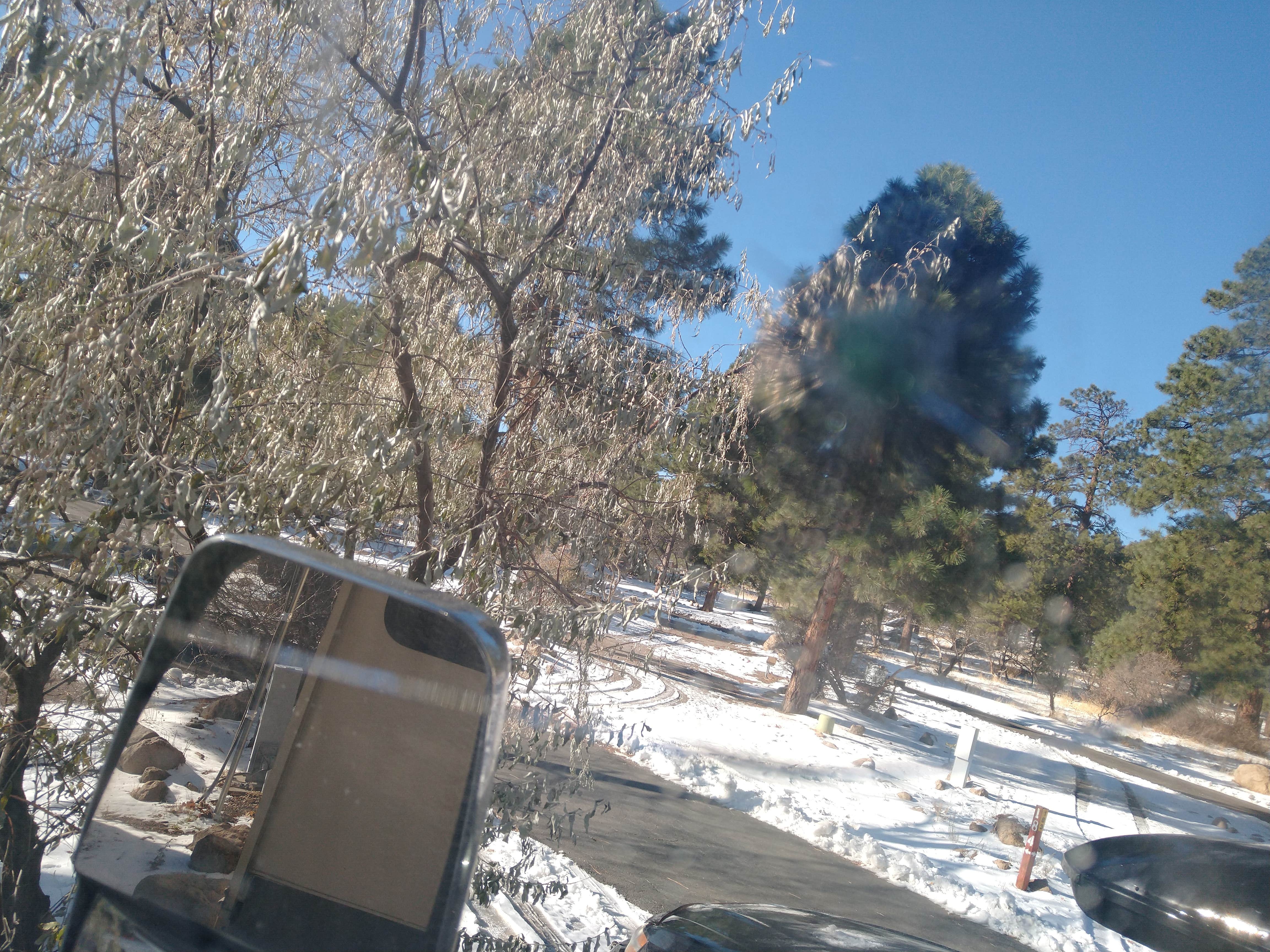 Camper-submitted photo at Flagstaff KOA in Arizona