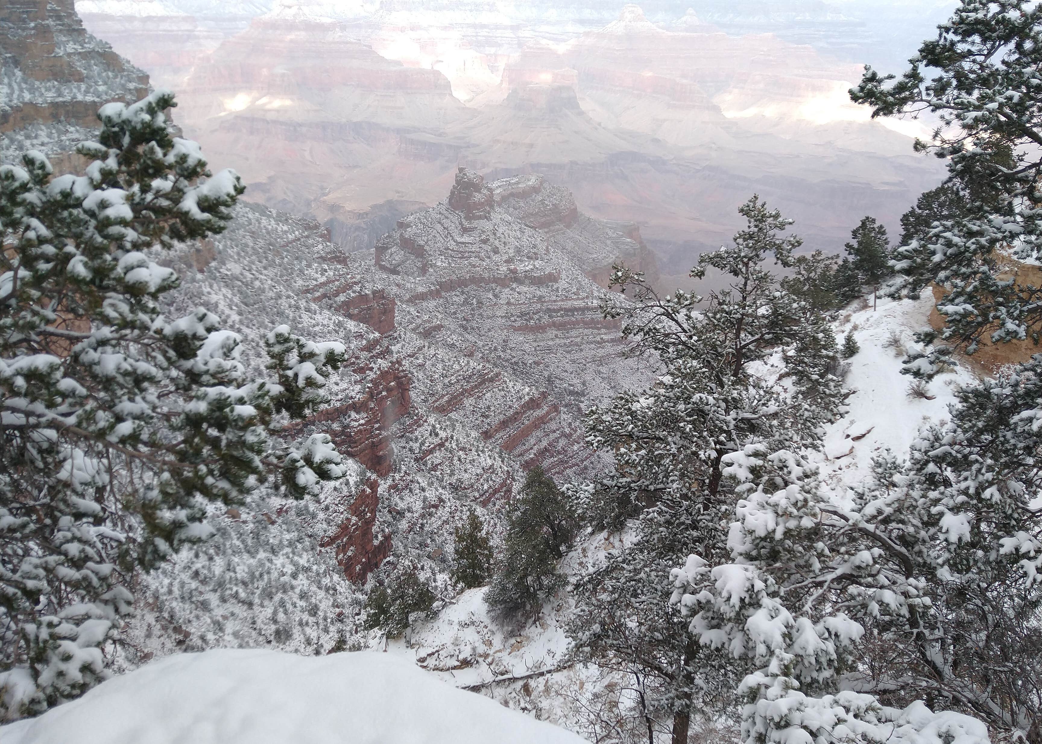 Flagstaff KOA Camping The Dyrt