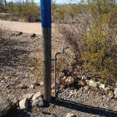 Review photo of Twin Peaks Campground — Organ Pipe Cactus National Monument by Ashley M., December 5, 2020