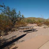 Review photo of Twin Peaks Campground — Organ Pipe Cactus National Monument by Ashley M., December 5, 2020