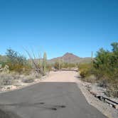 Review photo of Twin Peaks Campground — Organ Pipe Cactus National Monument by Ashley M., December 5, 2020