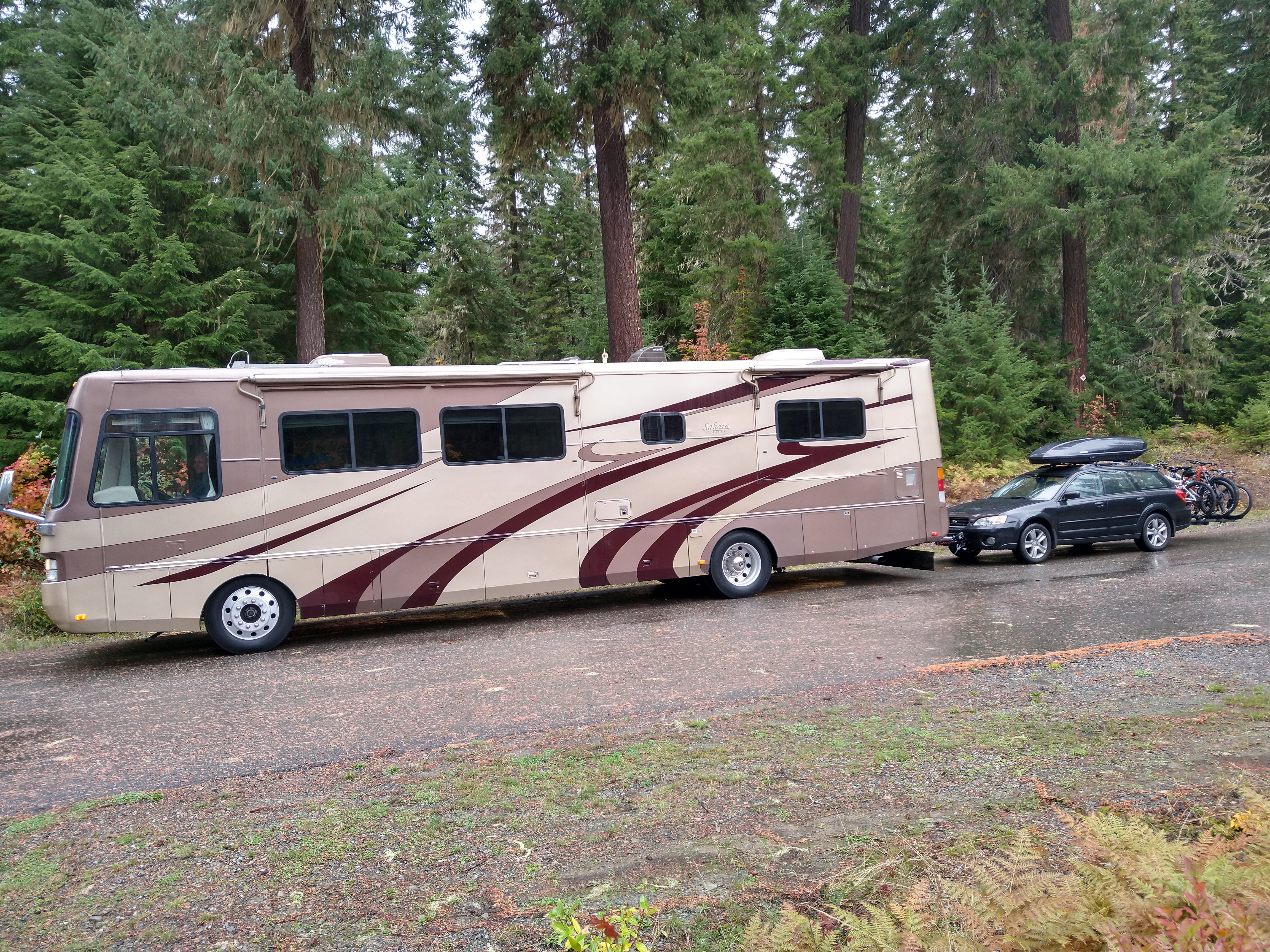 Camper submitted image from Dispersed near Salmon la Sac - 1