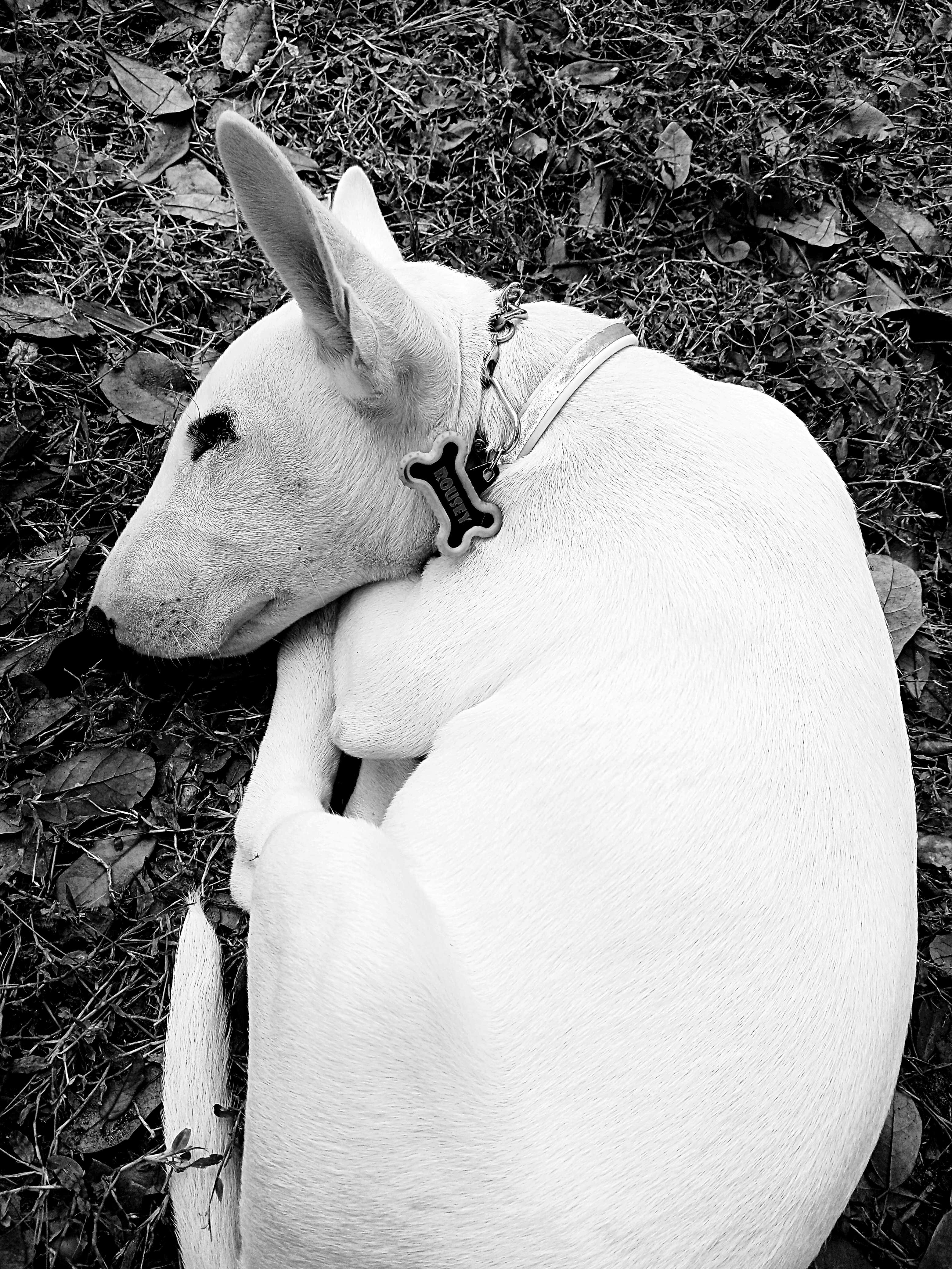 Camper-submitted photo at Savannas Recreation Area near Jensen Beach, FL