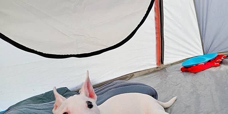 Camper submitted image from Indiantown Marina