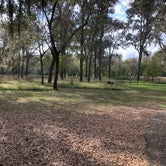 Review photo of Stephen Austin State Park Campground by Napunani , December 6, 2020
