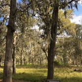 Review photo of Stephen Austin State Park Campground by Napunani , December 6, 2020