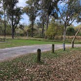 Review photo of Stephen Austin State Park by Napunani , December 6, 2020