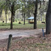 Review photo of Stephen Austin State Park by Napunani , December 6, 2020