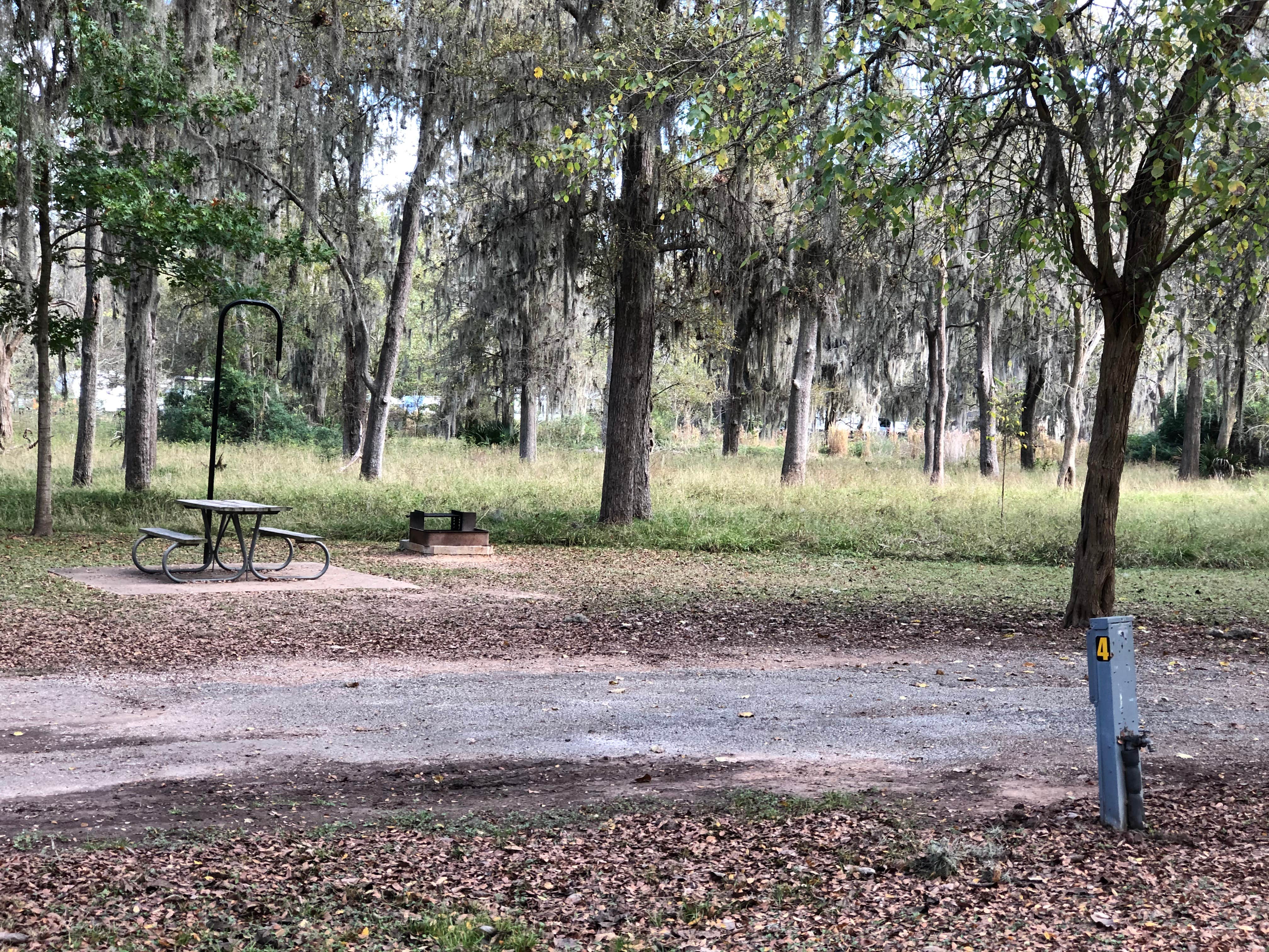 Camper-submitted photo at Stephen F. Austin State Park Campground near Cedar Creek, TX