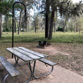 Review photo of Stephen Austin State Park by Napunani , December 6, 2020