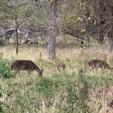 Review photo of Stephen Austin State Park by Napunani , December 6, 2020