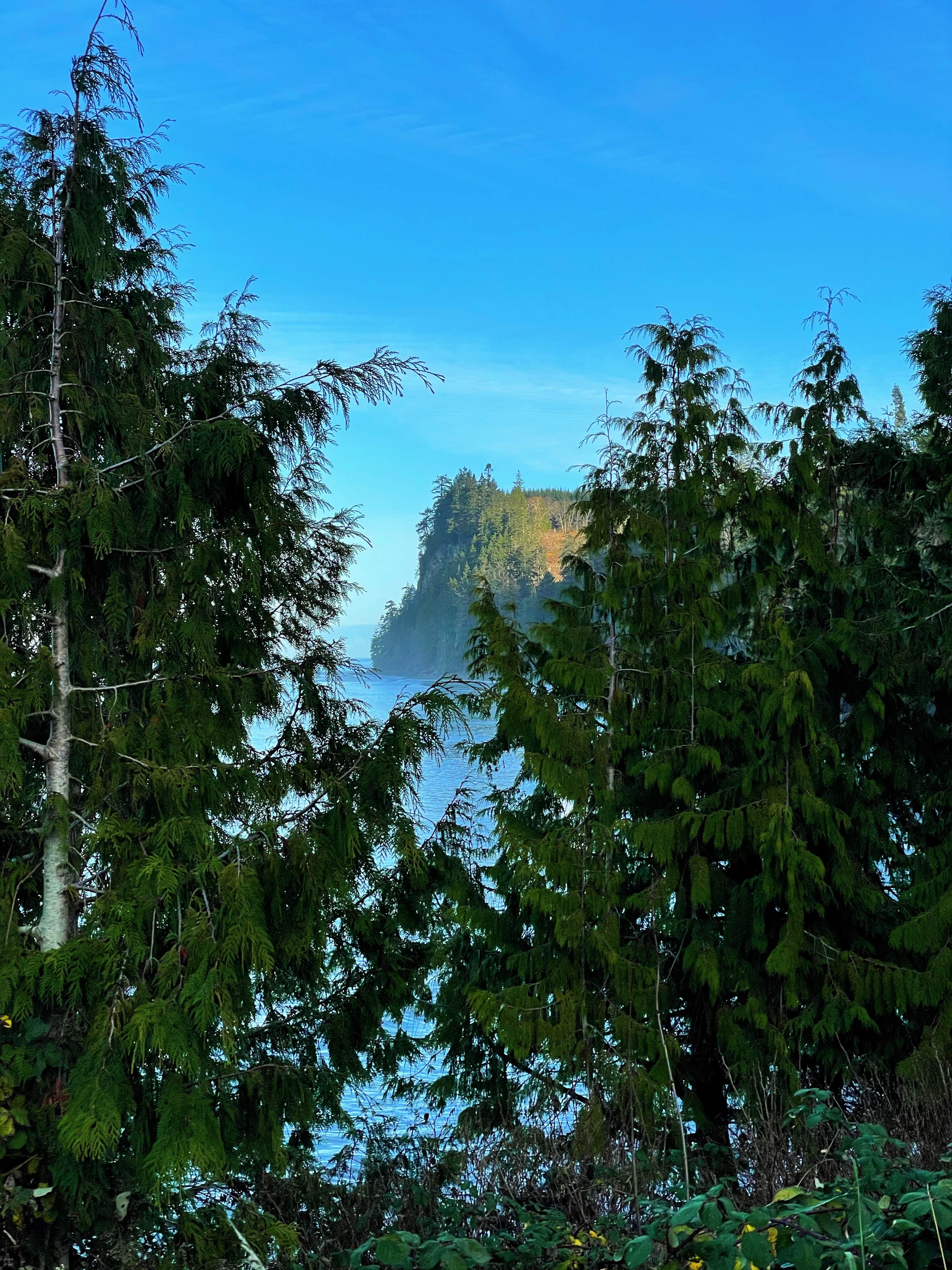 Camper-submitted photo at Whiskey Creek Beach NW near Sekiu, WA