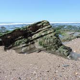 Review photo of Jalama Beach County Park by Megan B., July 12, 2016