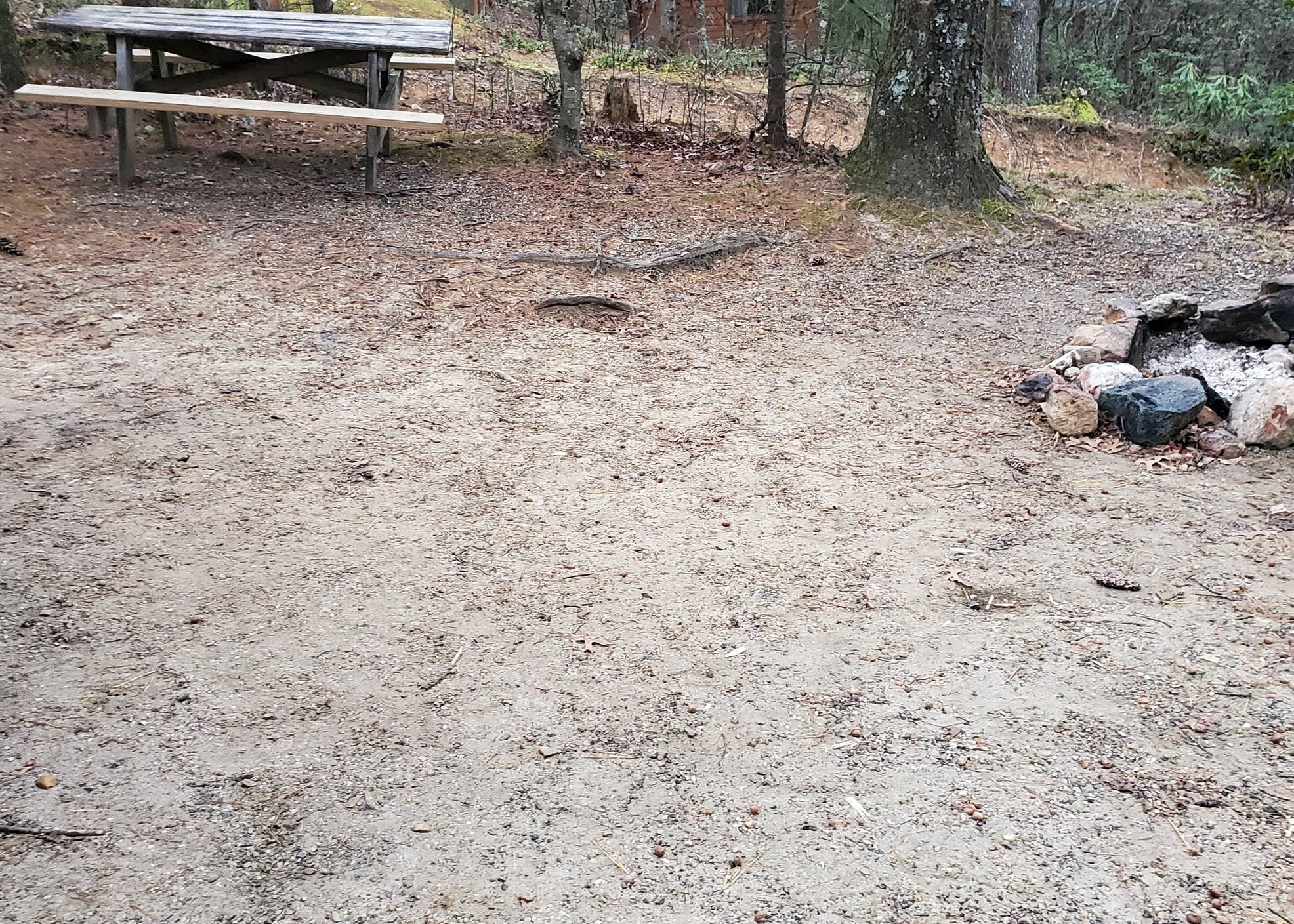 Spacious Skies Bear Den Campground Camping The Dyrt