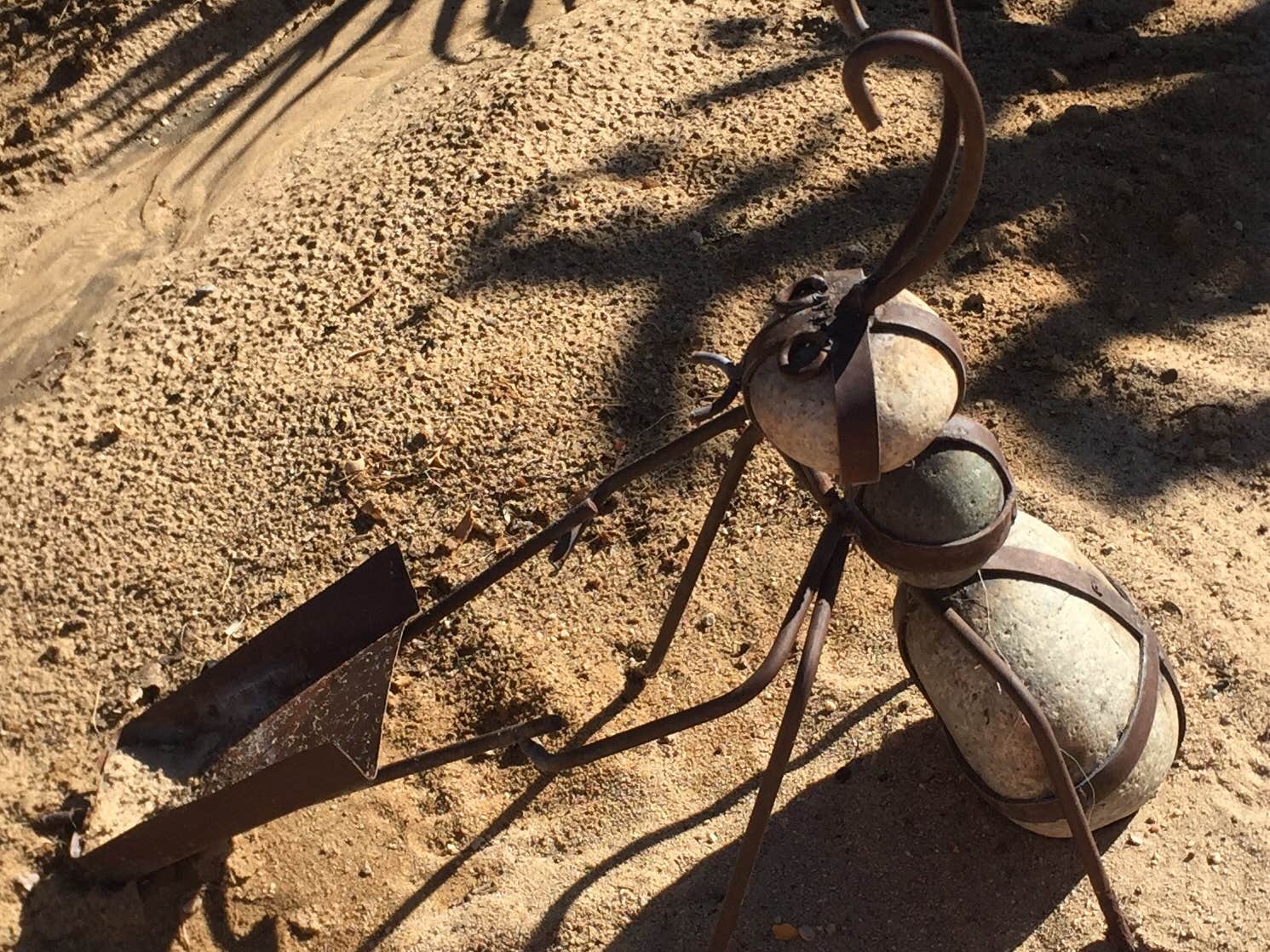 Camper-submitted photo at Twentynine Palms Resort near Yucca Valley, CA