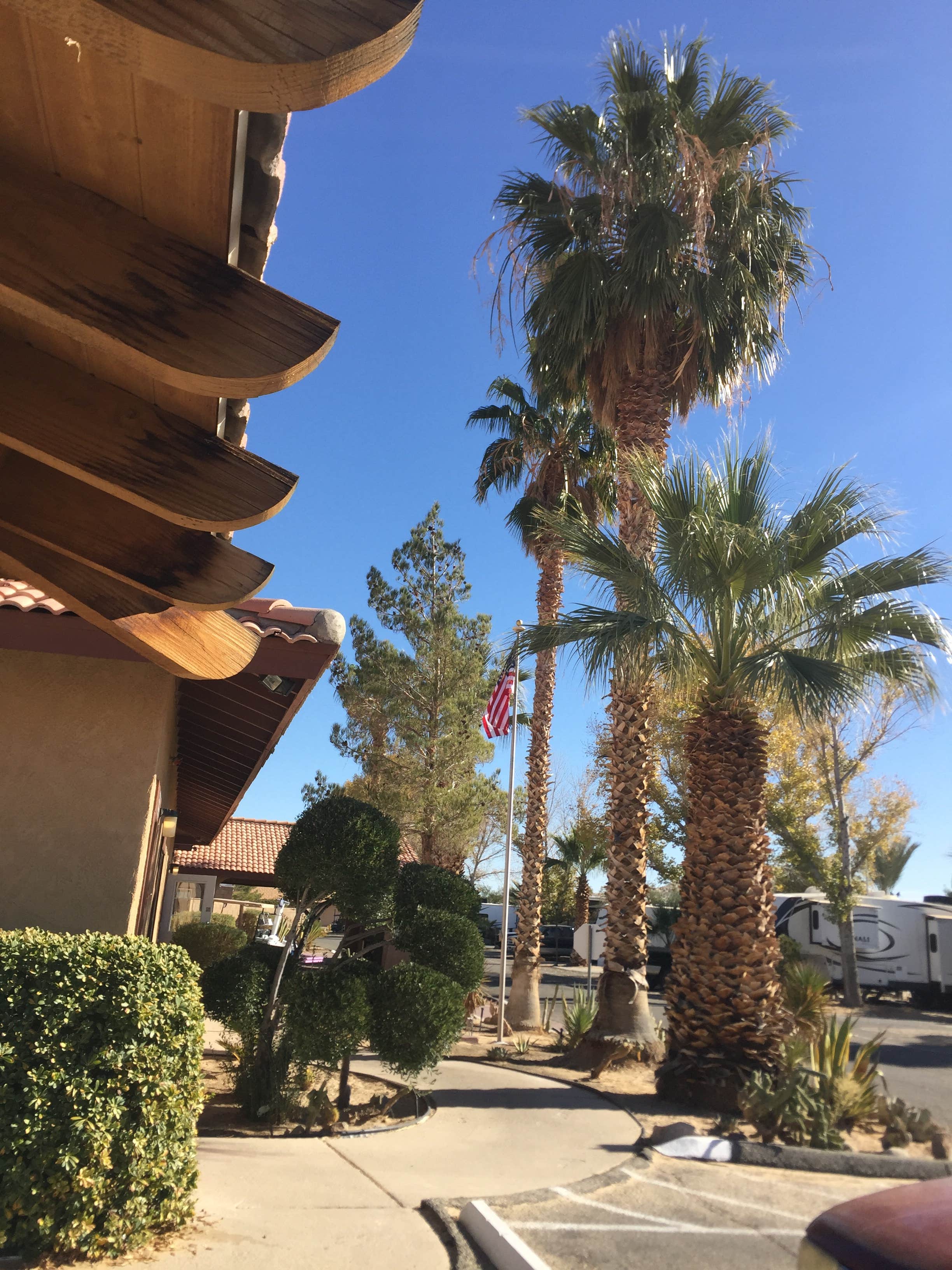 Camper-submitted photo at Twentynine Palms Resort near Yucca Valley, CA