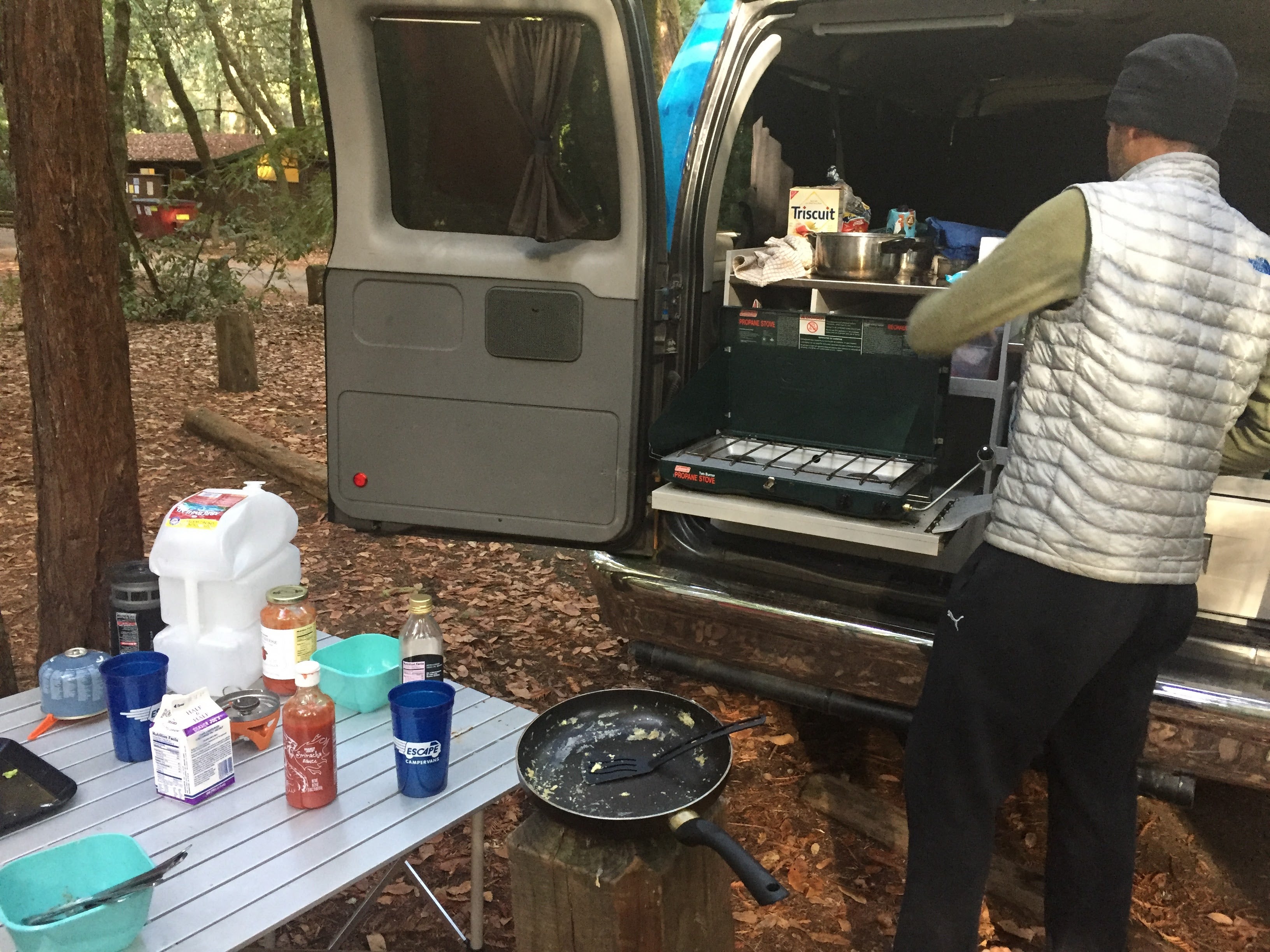 Camper submitted image from Hendy Woods State Park Campground - 3