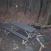 Review photo of Glade Creek Campground — New River Gorge National Park and Preserve by Abby M., December 6, 2020