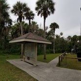 Review photo of Collier–Seminole State Park Campground by L O., December 6, 2020