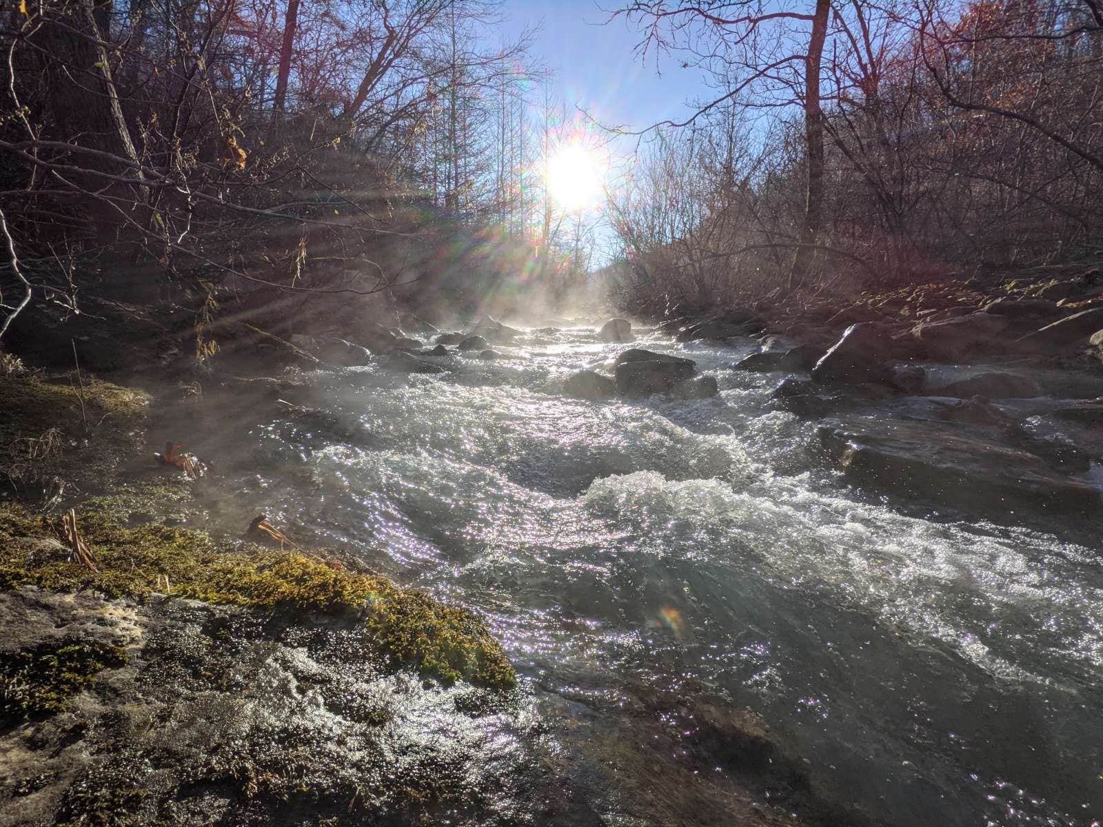 Kings River Falls Campground The Dyrt